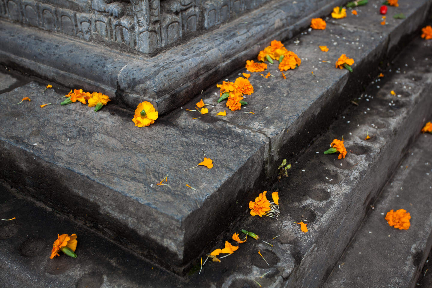 On the steps of the Monkey Temple in Kathmandu Nepal.