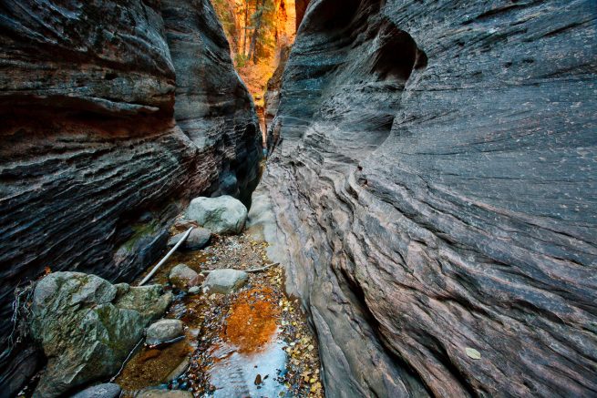 Slot canyon in Zion NP, Utah.